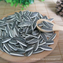 New Crop Sunflower Seeds From Shandong Guanghua Agricultural